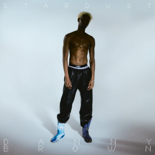 Stardust_(Danny_Brown_album)